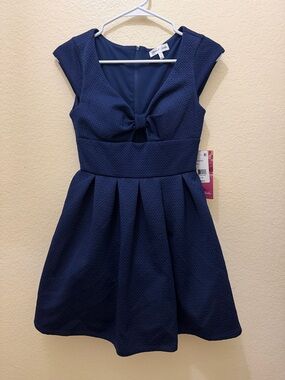 Emerald Sundae Navy Textured Fit-and-Flare Dress with Bow